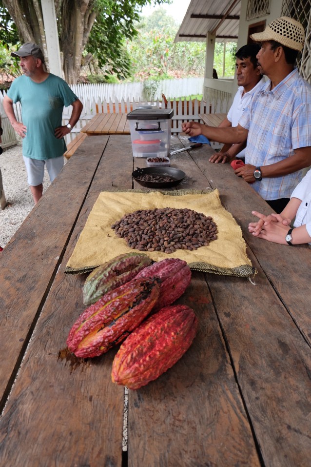 Plantation demonstration - from cocoa to chocolate