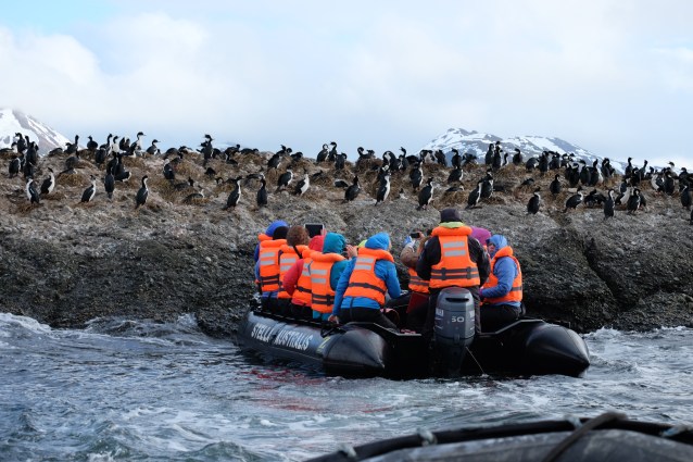 Stella Tuckers zodiac