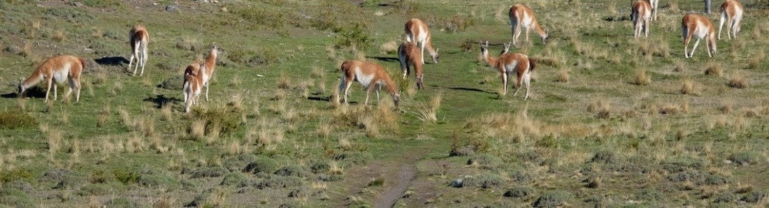 9_TP2_Hunters 4 copy