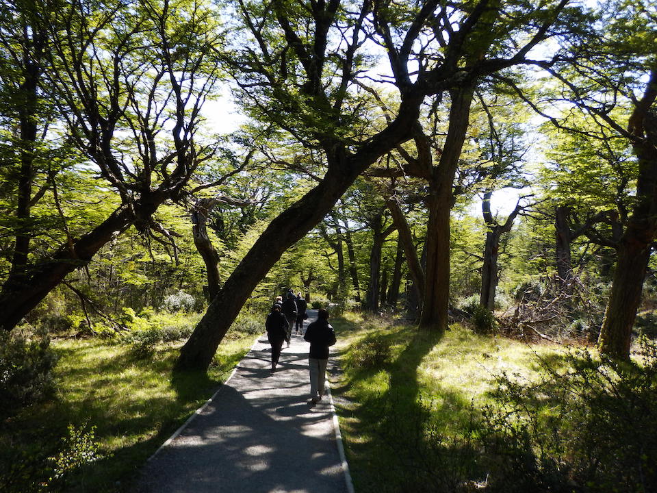 Forest walk to beach