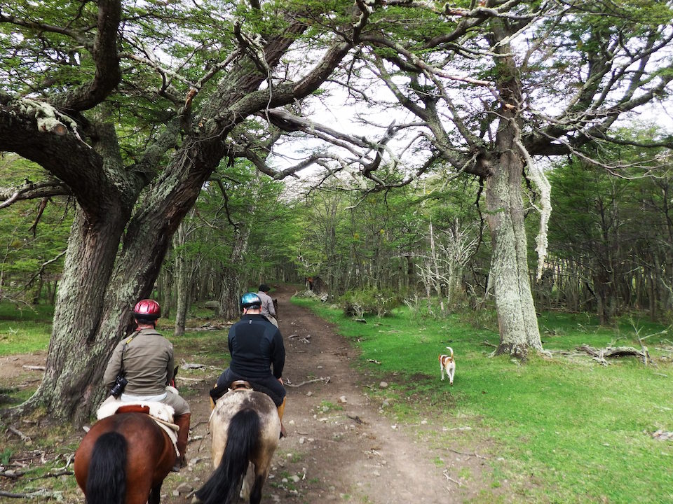 Horseriding resize.jpg